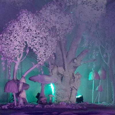 Wunderwald– Im Wald der Wünsche