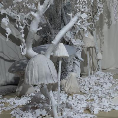 Pilze – Im Wald der Wünsche