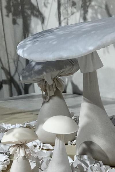 Pilze – Im Wald der Wünsche