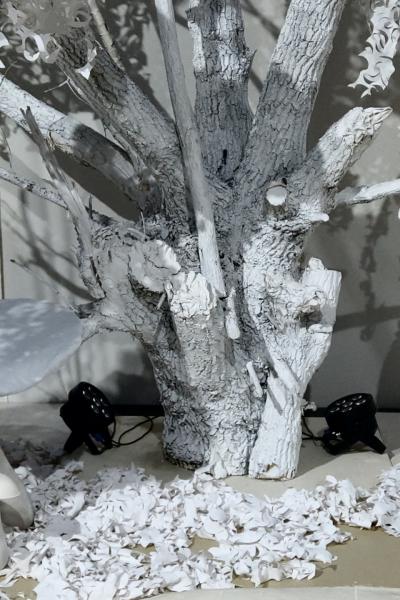 Pilze – Im Wald der Wünsche