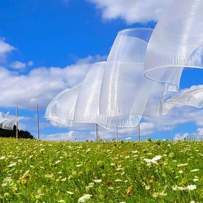 Bernhard Dingwerth 3