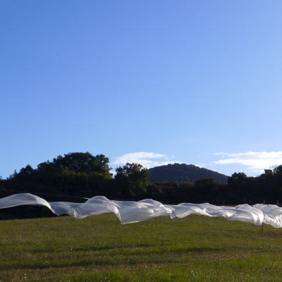 Bw25 P1540684 Foto Retareinl