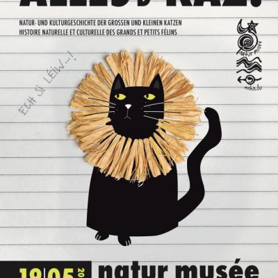 Alles Fuer D Kaz