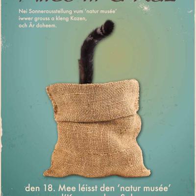 Alles Fuer Die Katz
